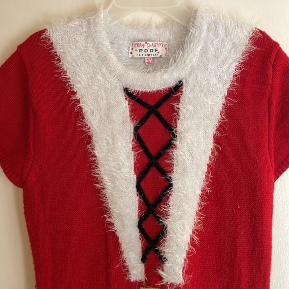 Merry Christmas Poof New York  Santa Dress Large - Picture 2 of 6